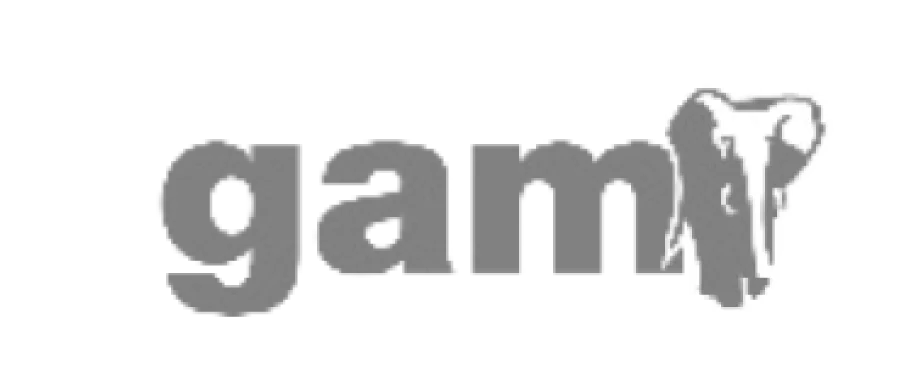 GAM